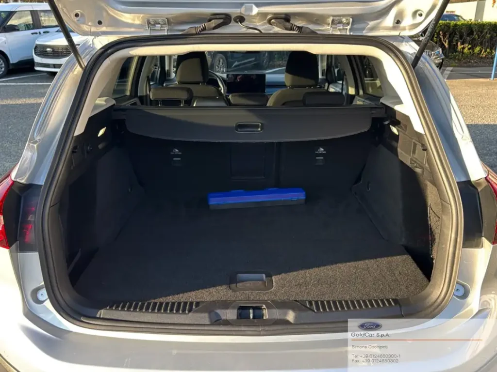 Ford Focus Focus 1.0 EcoBoost Hybrid 125 CV SW Active X